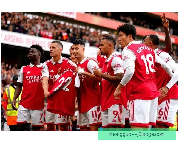 2025年夏季转会水晶宫成功引进法甲中卫新星实力提升